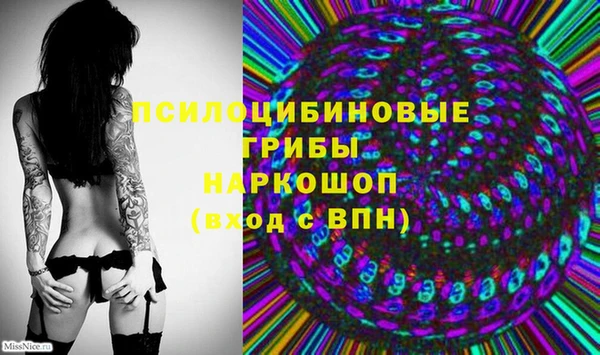 дмт Сосновоборск