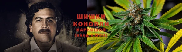 не бодяженный Сосновый Бор