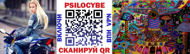 Псилоцибиновые грибы Psilocybe  Купить закладки  Белебей 